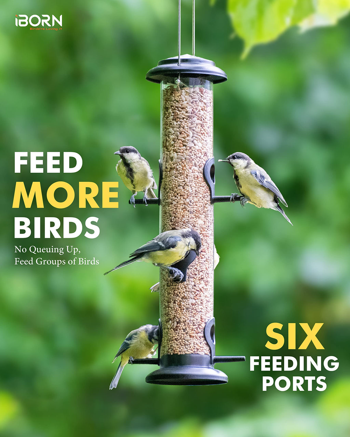 iBorn feeder with powder-coated black finish resistant to rust