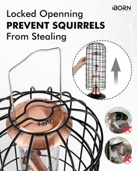 iBorn ample perching space supports multiple small birds