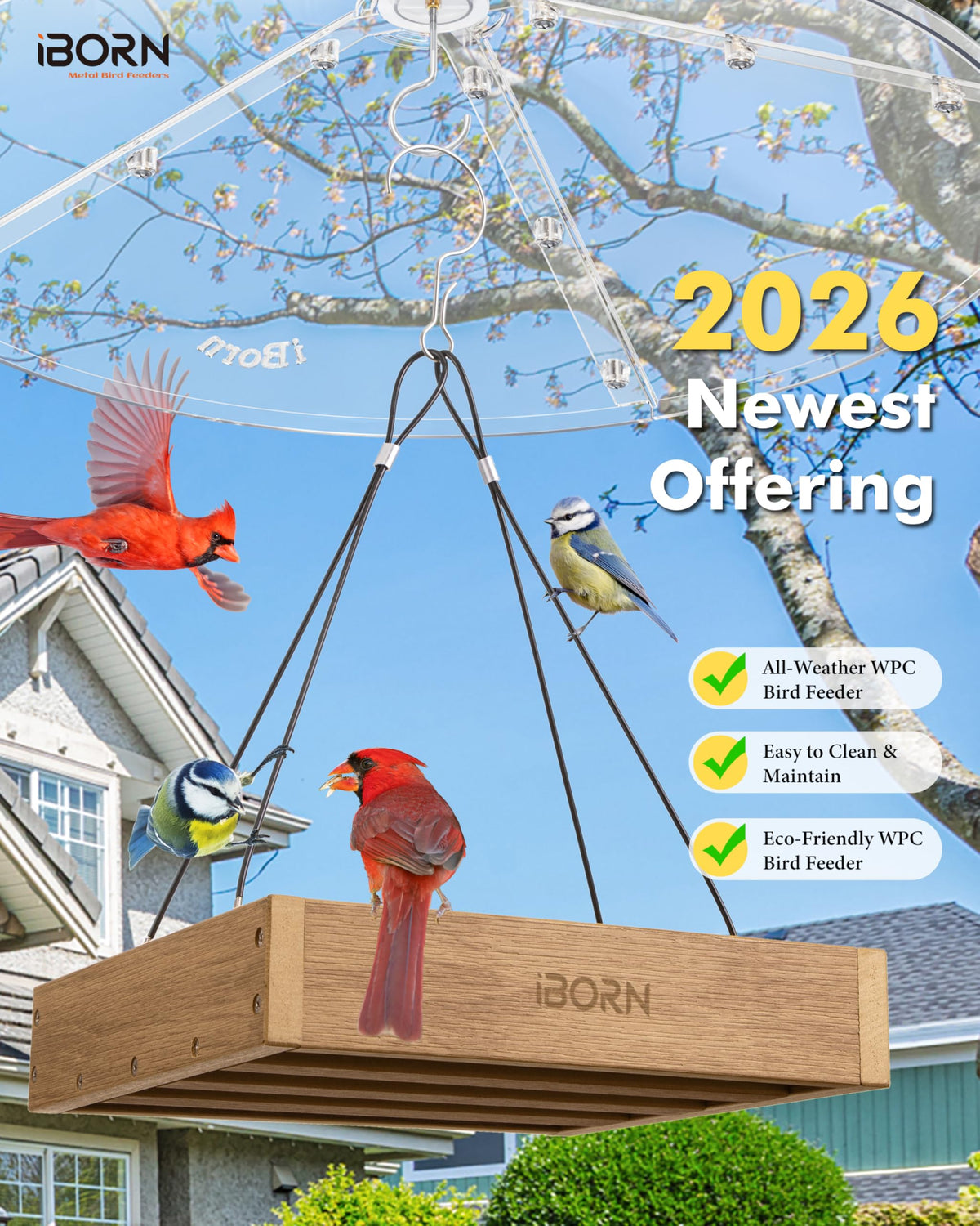 iBorn 3-year warranty enhances confidence in choosing a durable outdoors feeder.