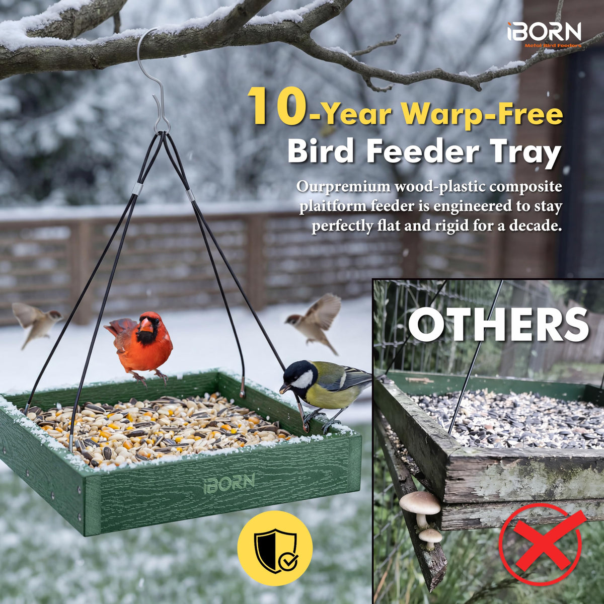 iBorn ROHS-certified safety ensures safe handling for birds and people.