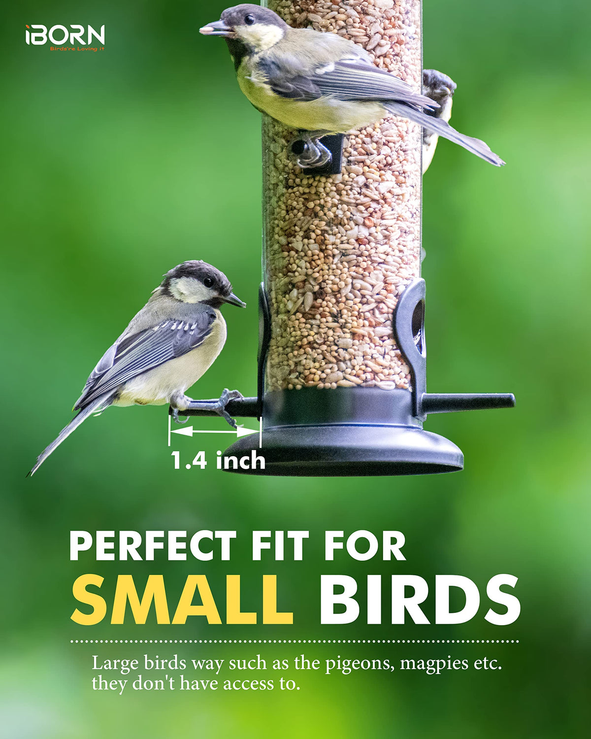 iBorn bird feeder compatible with a wide range of seed blends