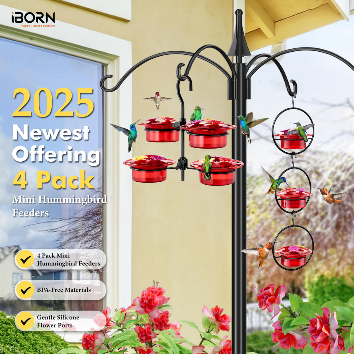 iborn eco-safe BPA-free feeder for safe nectar drinking