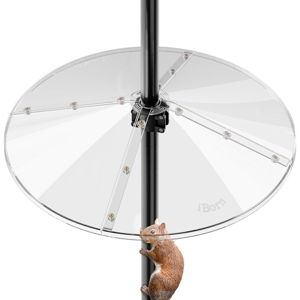 iBorn Squirrel Baffle oversize clear design defends feeders from climbing squirrels