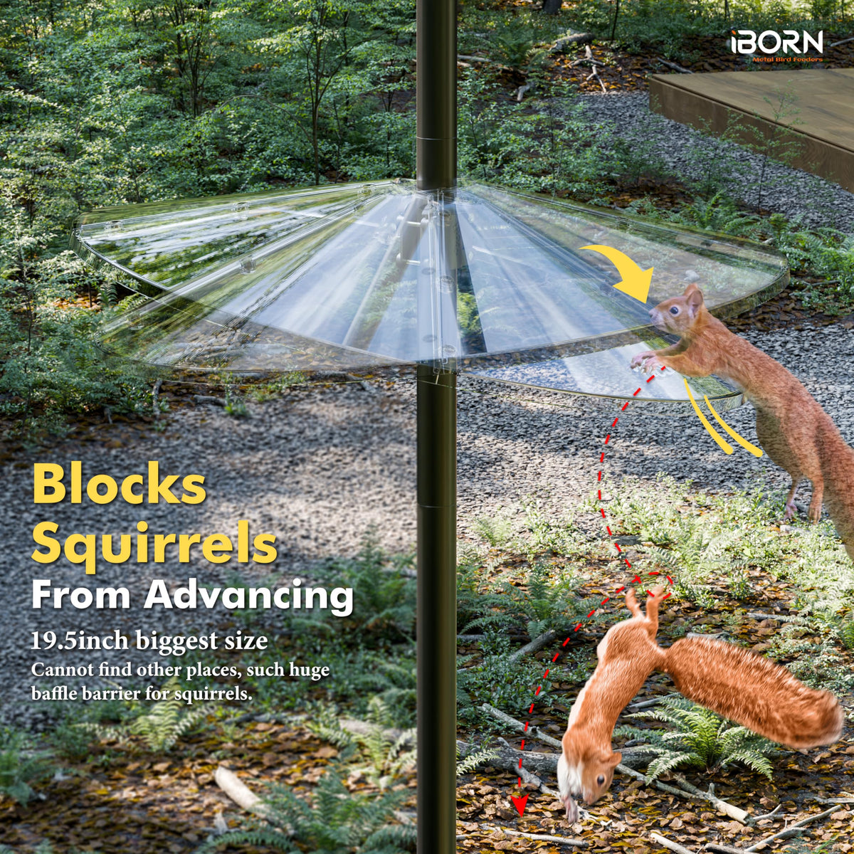 iBorn Oversize 19.5-inch guard keeps seeds out of reach
