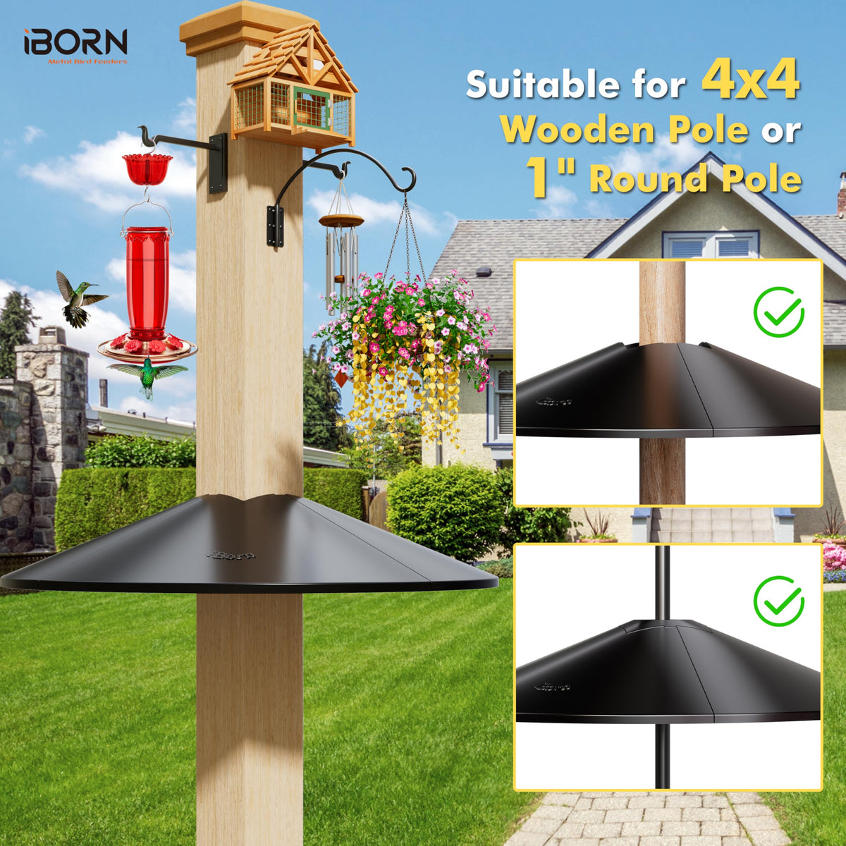 iBorn baffle mounted on a 4x4 post blocks squirrel access