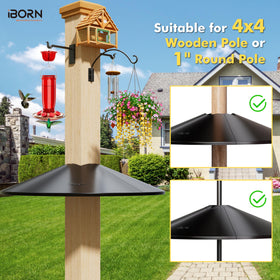 iBorn baffle mounted on a 4x4 post blocks squirrel access
