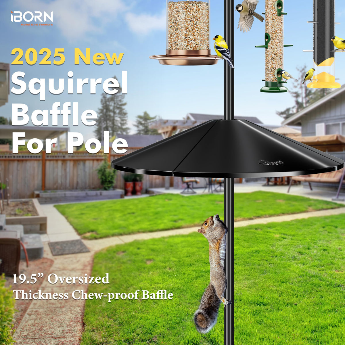 iBorn squirrel-proof design minimizes mess around outdoor feeders.