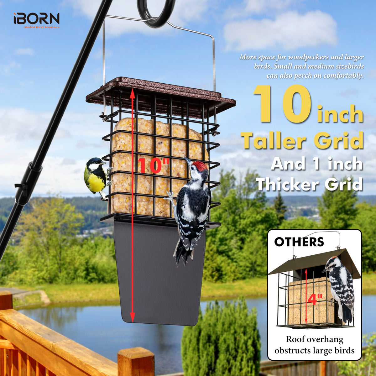 iBorn Suet Feeder bottom drainage hole catches crumbs and keeps ground tidy