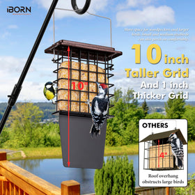iBorn Suet Feeder bottom drainage hole catches crumbs and keeps ground tidy