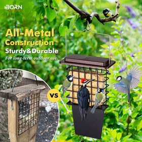 iBorn Suet Feeder fixed metal hanger prevents wind sway