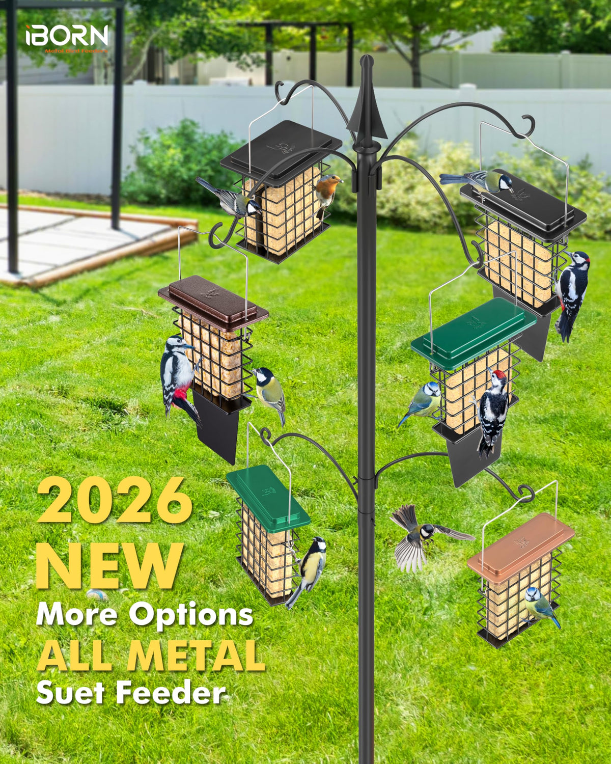 iBorn Suet Feeder tail prop side view highlights balanced perch design