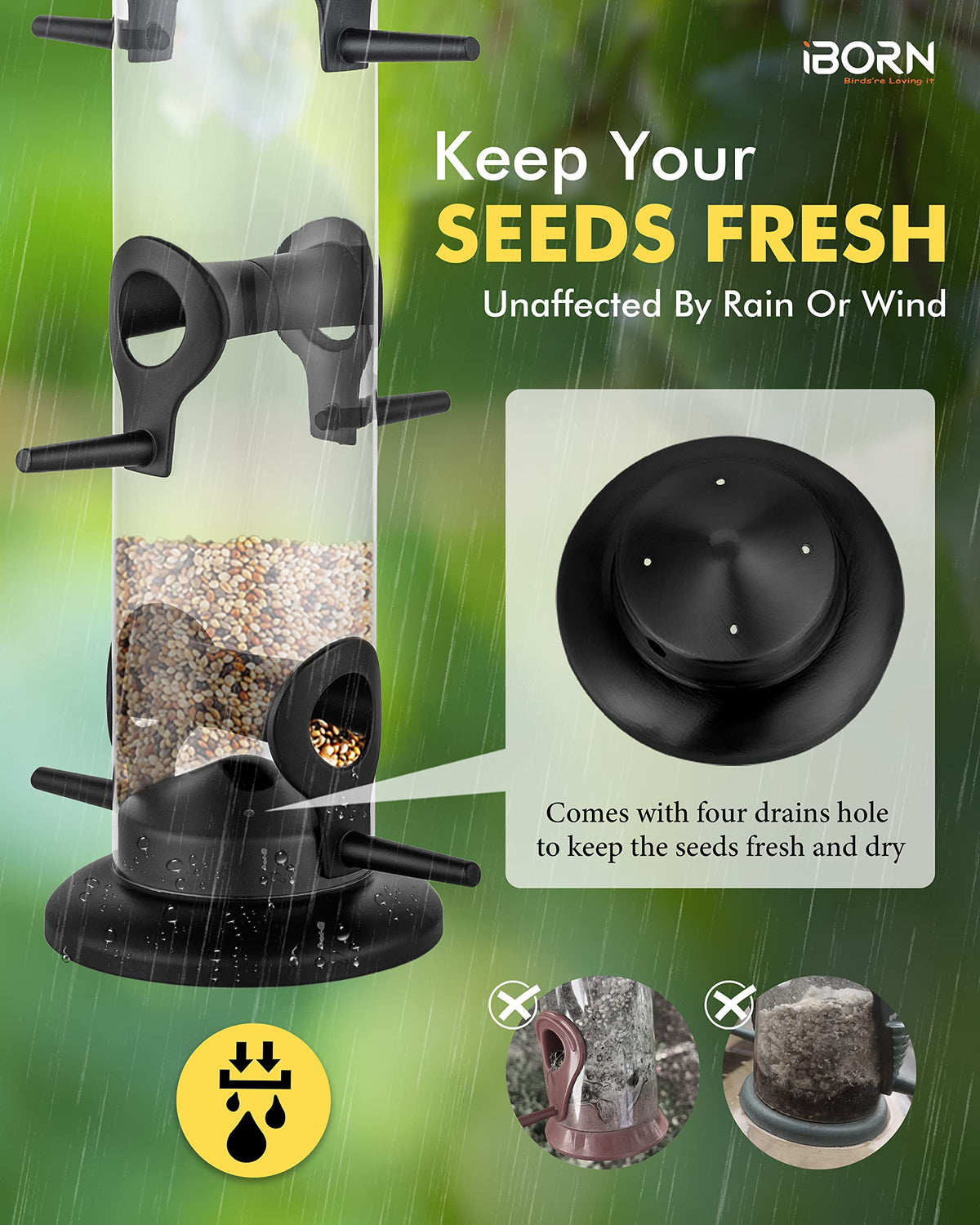 iBorn transparent seed compartment for quick seed level checks