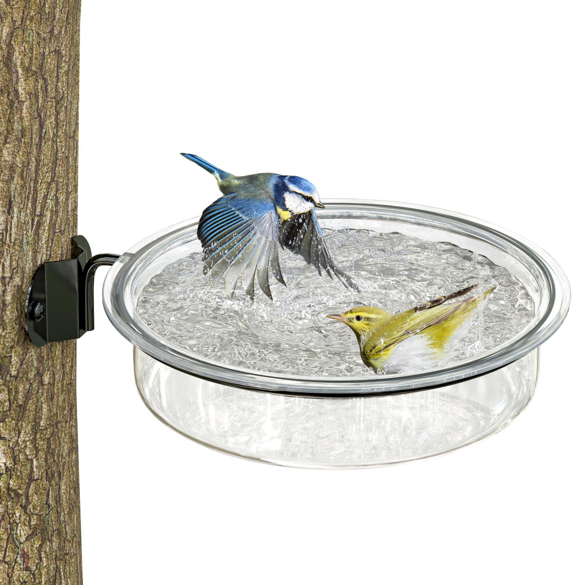 iBorn wall-mounted bird feeder tray mesh for quick drainage keeps feeding areas clean.