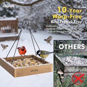iBorn authentic wood look achieved with maintenance-free composite.