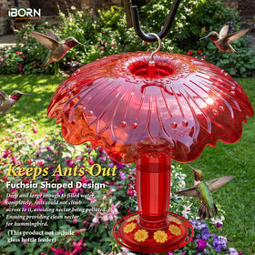 iBorn water moat with 3.5 inch mouth keeps nectar cooler longer