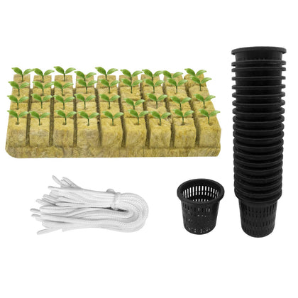 Iceyyyy 2-inch slotted mesh net pot for healthy root drainage in hydroponics.