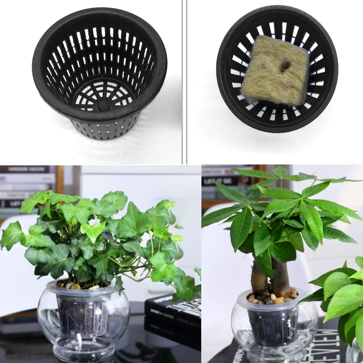 Iceyyyy self-watering cotton wick cord supports consistent moisture for cuttings.