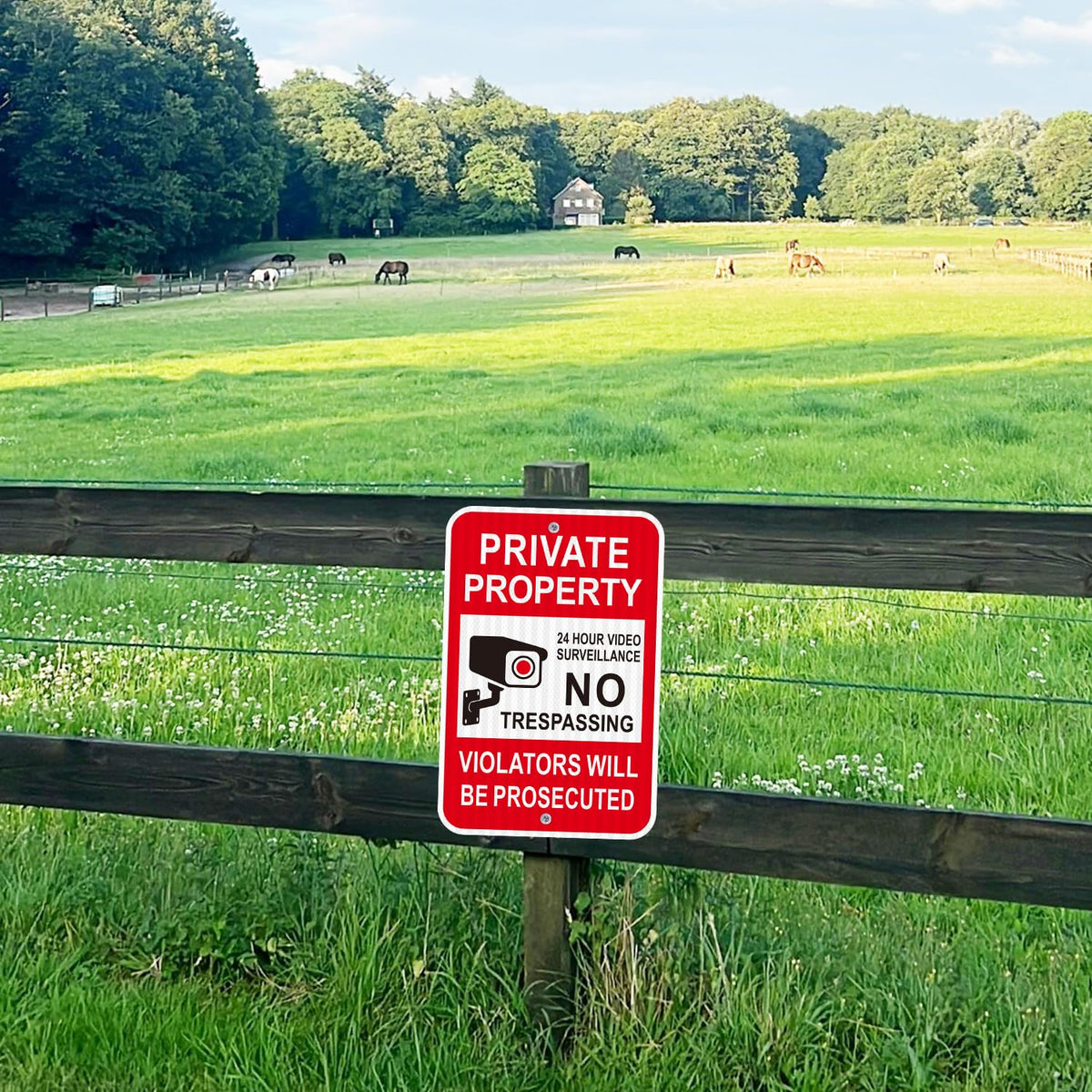 i-CowFun 2-pack provides ample coverage for multiple entrances