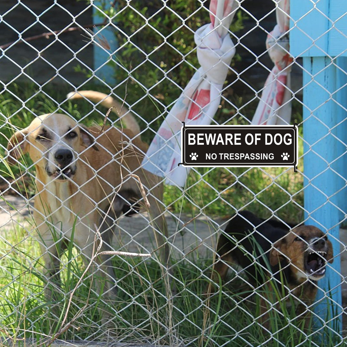 i-CowFun beware of dog sign placed at yard entrance deters trespassers.