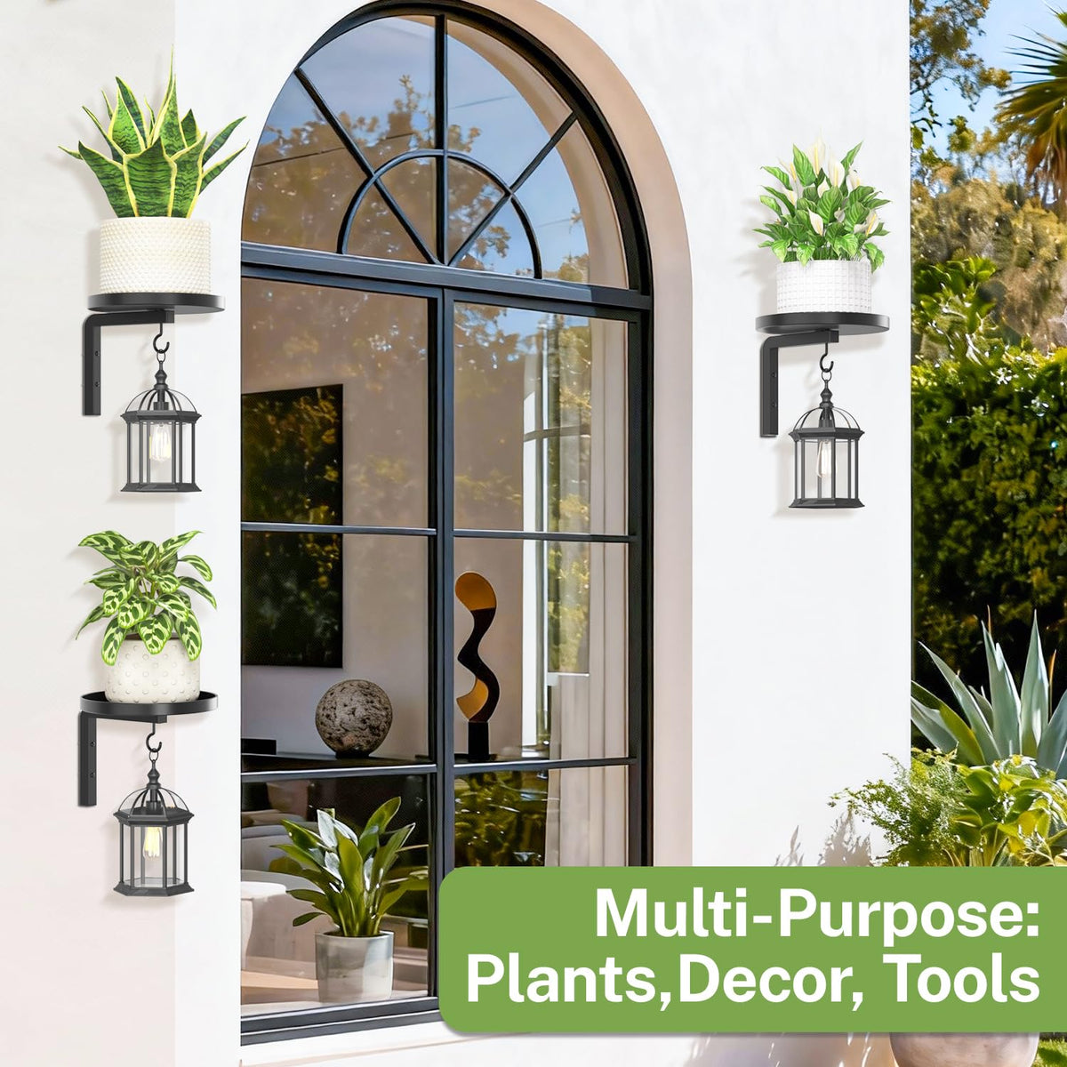 iDavosic.ly wall-mounted planter keeps pets away from pots.