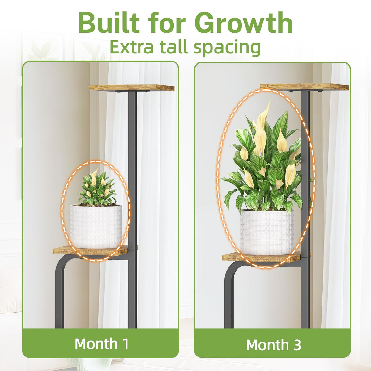 iDavosic.ly staggered tiers improve light exposure for lush greenery