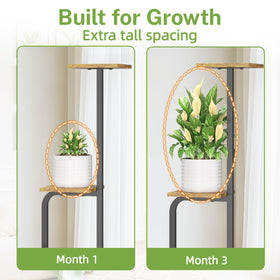 iDavosic.ly staggered tiers improve light exposure for lush greenery