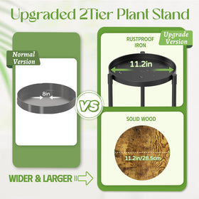 iDavosic.ly two-tier layout offers space for tall plants to extend upward.