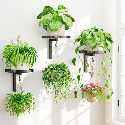 iDavosic.ly wall plant holder trio mounted on a modern wall for compact display.