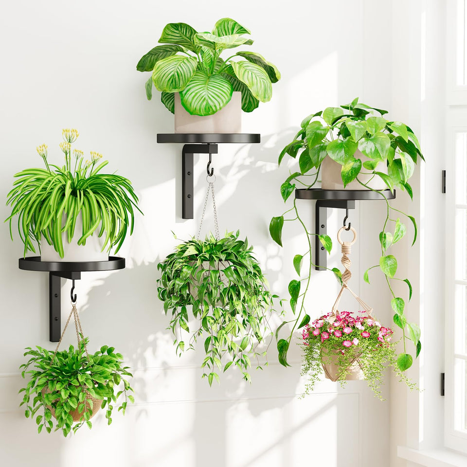 iDavosic.ly wall plant holder trio mounted on a modern wall for compact display.