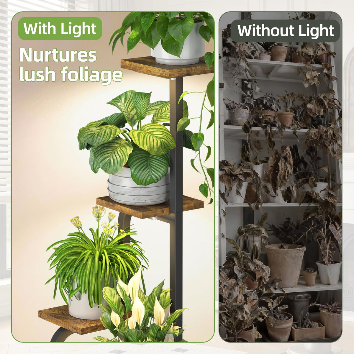iDavosic.ly wooden base adds stability during daily plant care