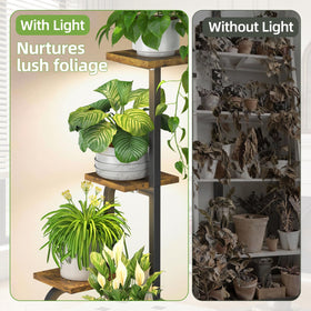 iDavosic.ly wooden base adds stability during daily plant care