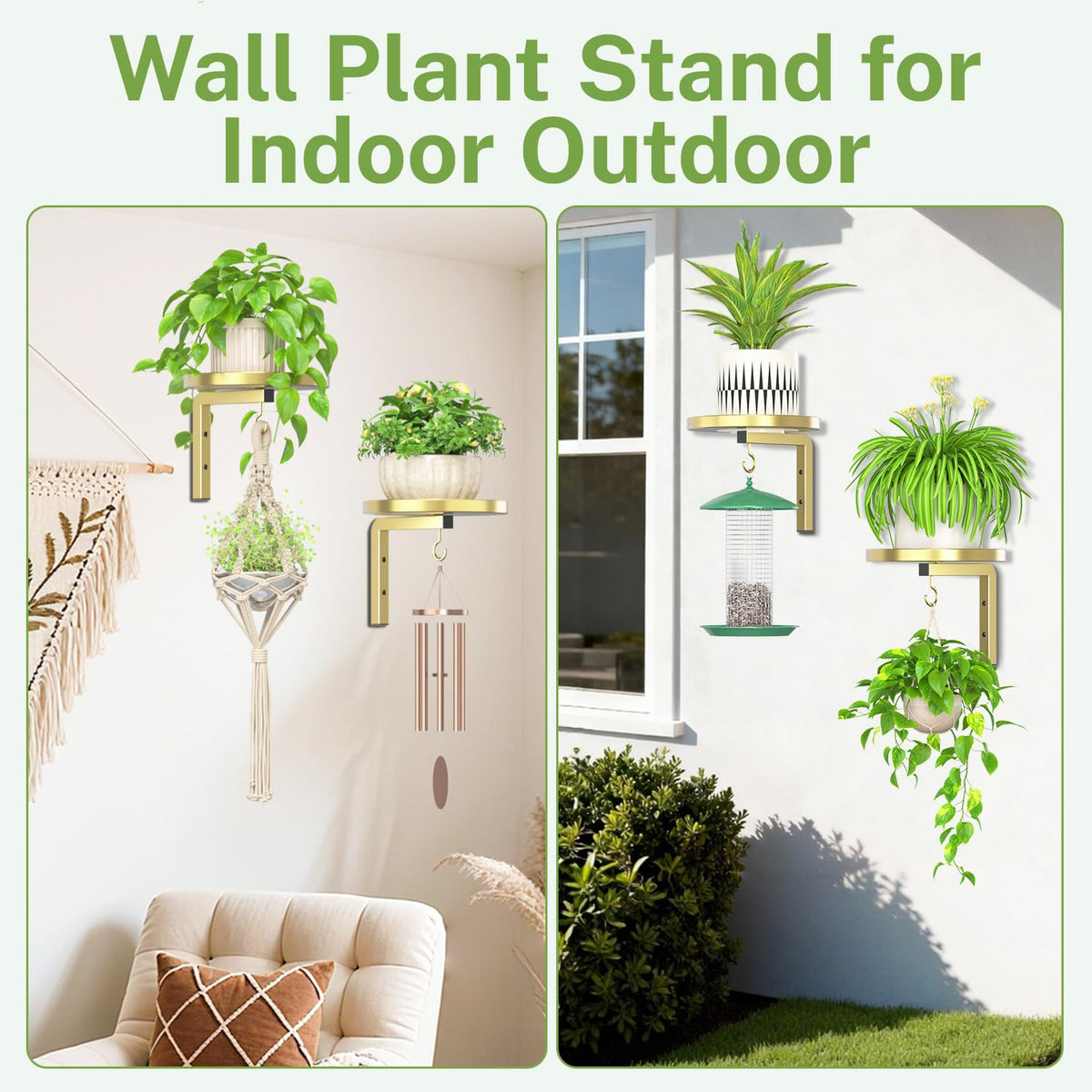 iDavosic.ly two-stand setup offers four-plant capacity in a compact layout.