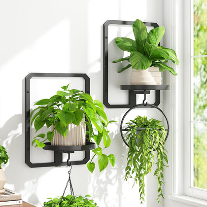idavosic.ly wall plant frame set 2 assembly highlights sturdy support for heavy pots