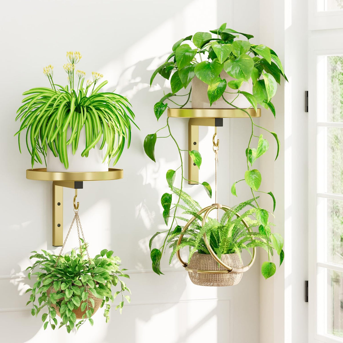 iDavosic.ly wall plant holder set in gold mounts securely, saving floor space.
