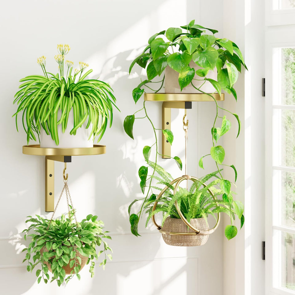 iDavosic.ly wall plant holder set in gold mounts securely, saving floor space.