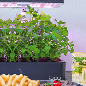 idoo Seed Pods Kit grow baskets enabling air and water flow for healthy foliage