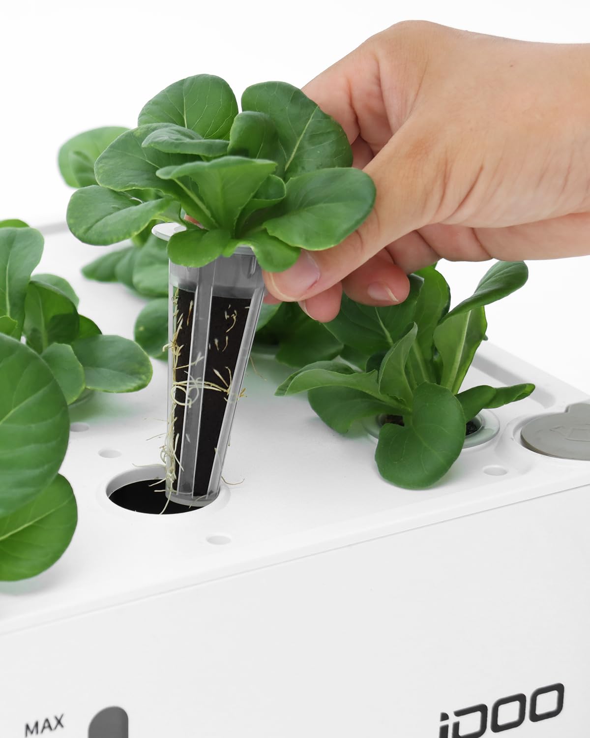 idoo Seed Pods Kit grow domes creating humidity control for early growth