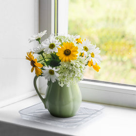 Idyllize clear 11inch square plant saucer in use prevents spills and staining