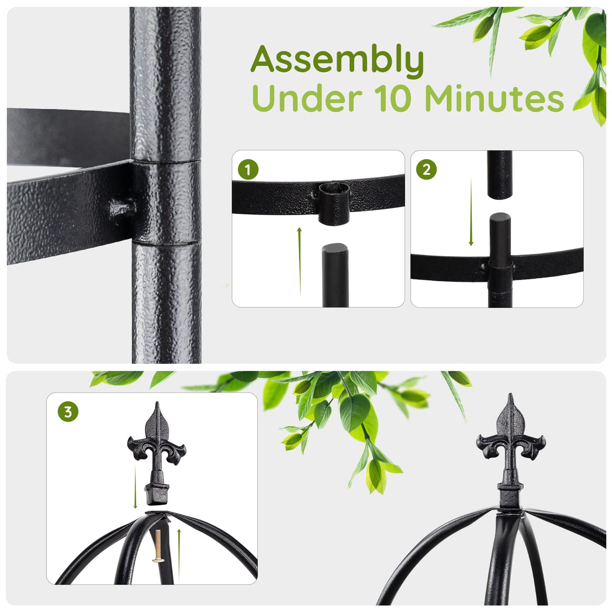 IDZO supports climbing roses and tomatoes for vertical growth