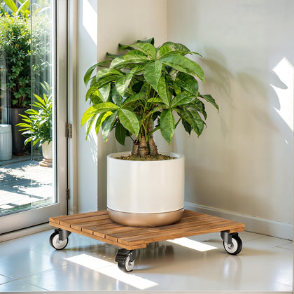 Idzo rolling square plant caddy with 360° wheels for easy mobility