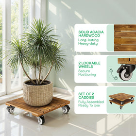 Idzo acacia wood plant caddy with 360-degree wheels