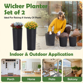 IDZO self-watering tray helps keep roots hydrated for healthy growth.