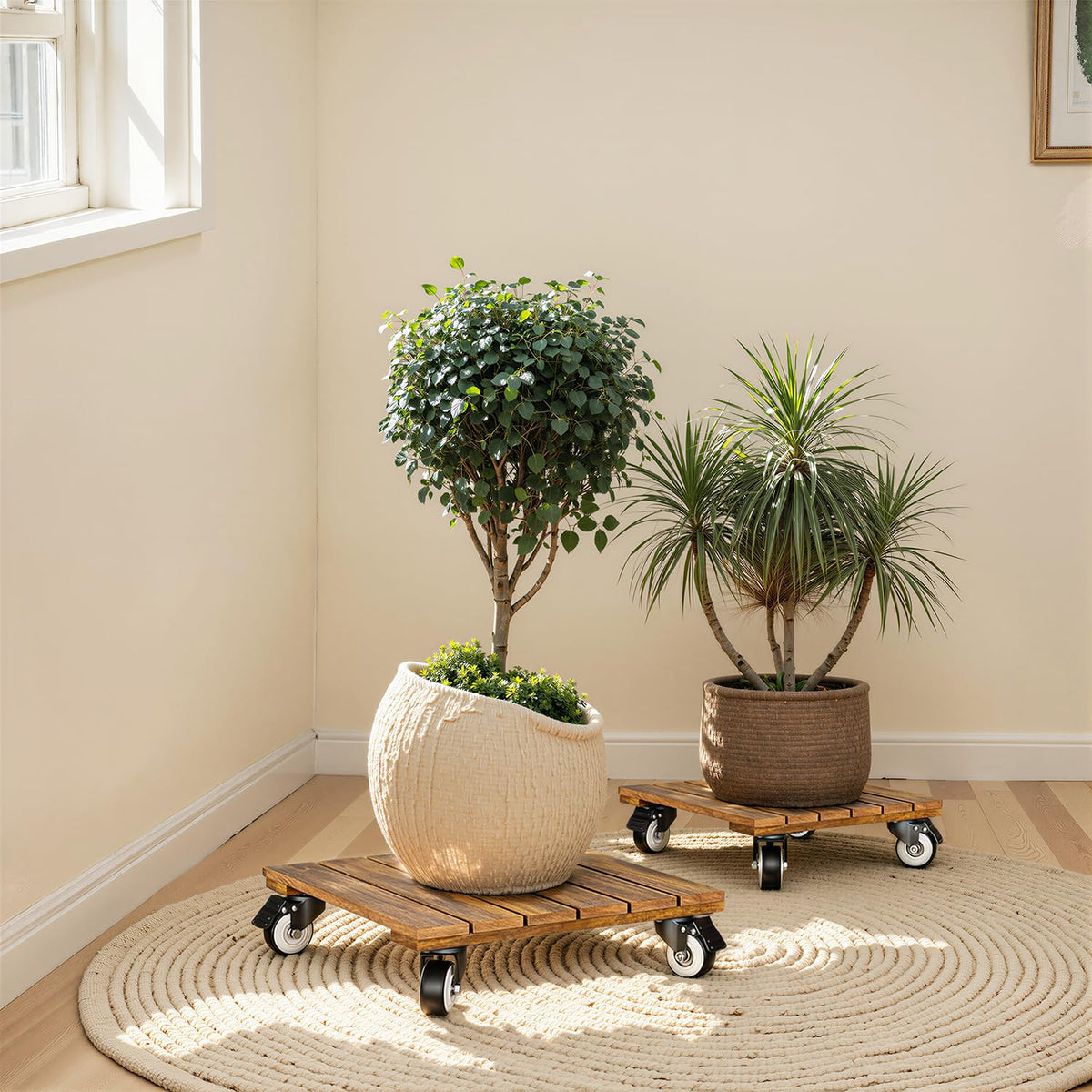 Idzo two-pack plant caddies for flexible space planning