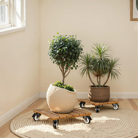Idzo two-pack plant caddies for flexible space planning