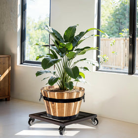IDZO wheeled plant stand is ready to use, enhancing mobility for indoor or outdoor plants