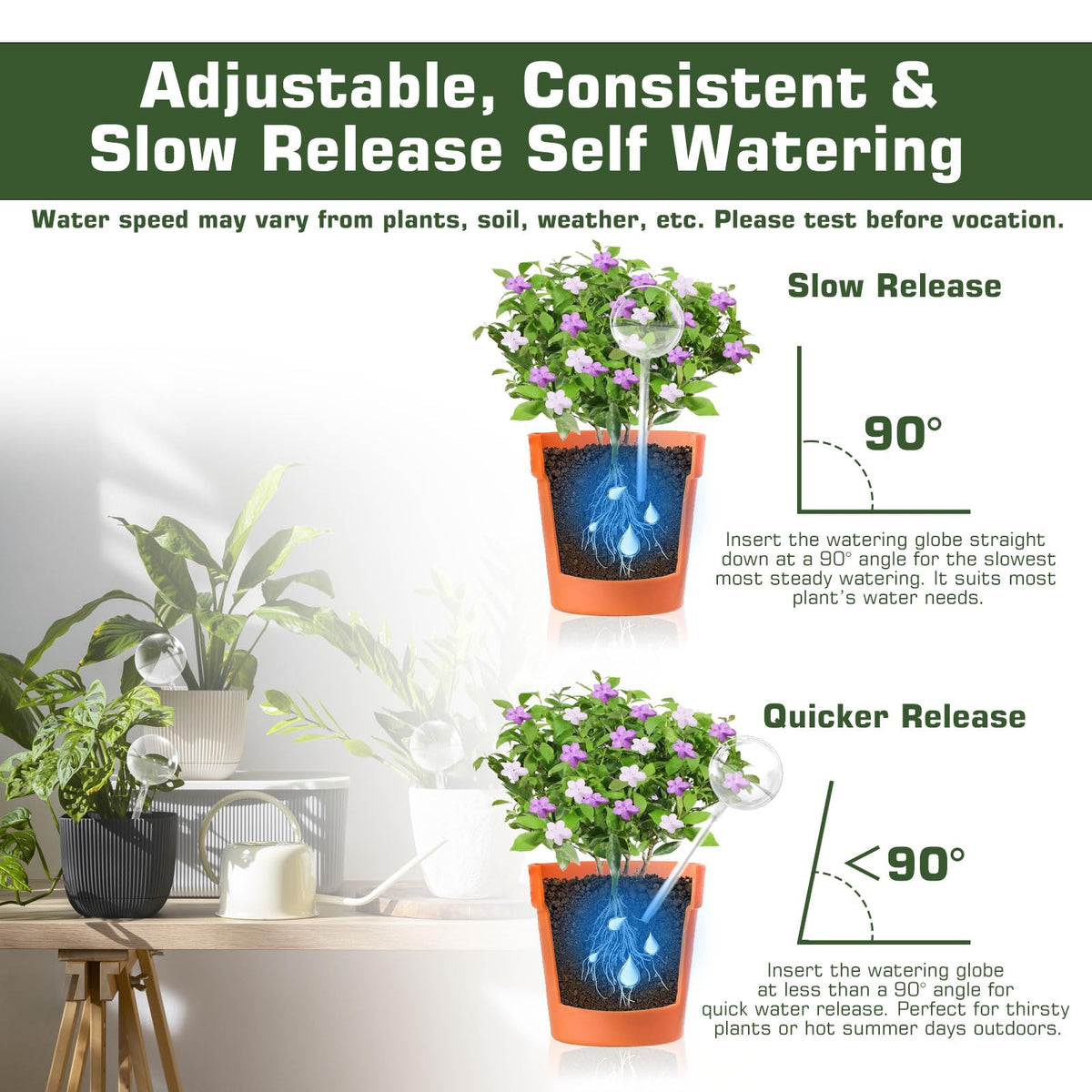 Heavy-duty borosilicate glass globe withstands daily setup and transport