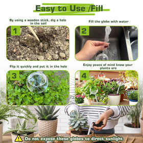 Two-pack packaging shown with multiple plant arrangements