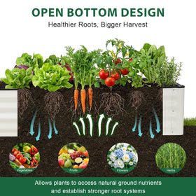 IGOHEALS open-base design image shows natural root growth and drainage.