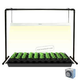 iGrowtek 2ft LED grow light stand over seedling promoting healthy growth