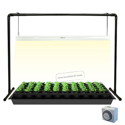 iGrowtek 2ft LED grow light stand over seedling promoting healthy growth